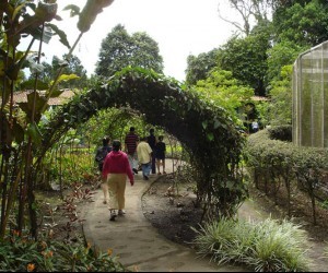 Quindío Botanical Gardens and Butterfly Zoo (QUimbaya). Source: Uff.Travel