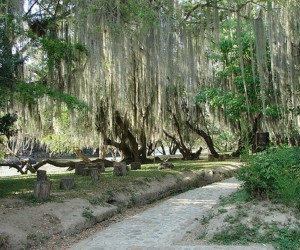 Gallineral Park Source: Panoramio